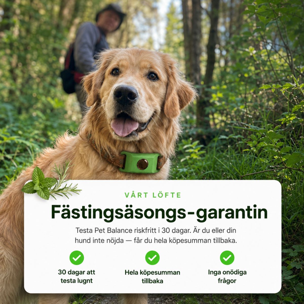 Naturlig Flåthalsbånd – Beskyttelse Uten Kjemikalier i Blodet