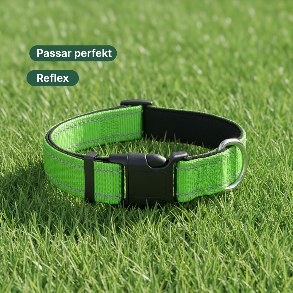Halsbånd med refleks – perfekt passform for PetBalance