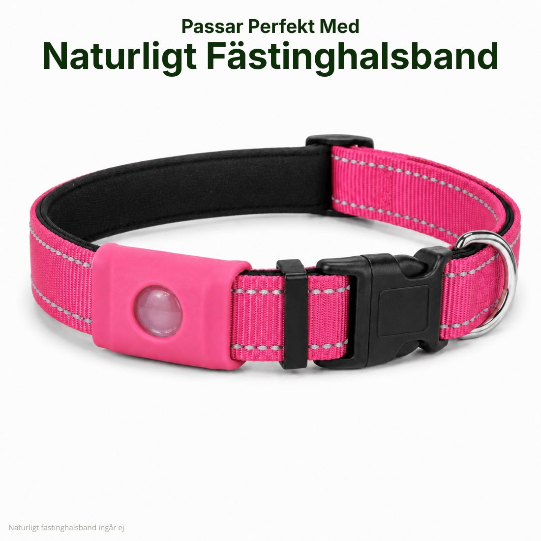Halsbånd med refleks – perfekt passform for PetBalance
