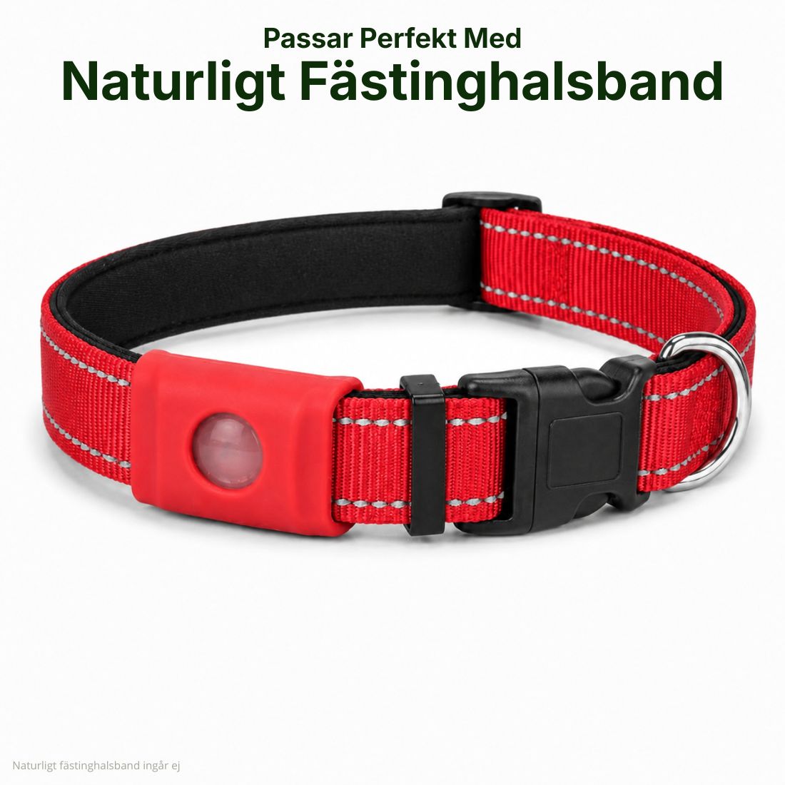 Halsbånd med refleks – perfekt passform for PetBalance
