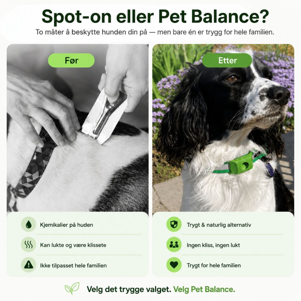 Naturlig flåtthalsbånd – beskyttelse uten kjemikalier i blodet