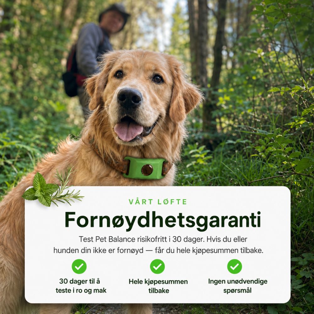 Naturlig flåtthalsbånd – beskyttelse uten kjemikalier i blodet