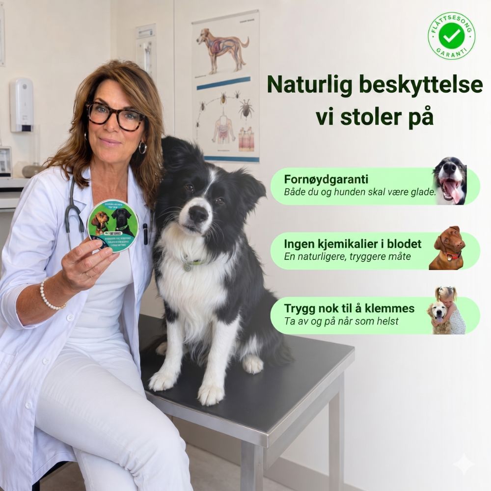 Naturlig flåtthalsbånd – beskyttelse uten kjemikalier i blodet