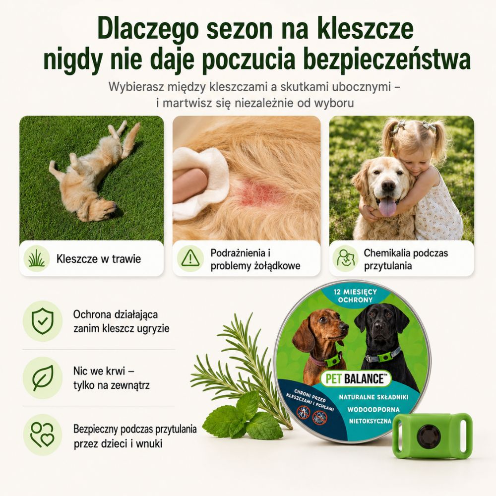 Naturalna obroża przeciw kleszczom – ochrona bez substancji chemicznych we krwi