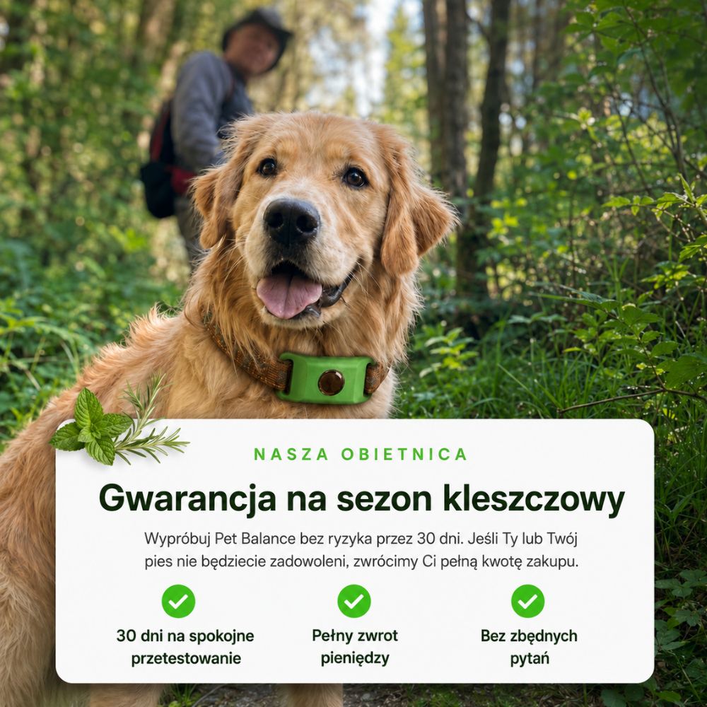 Naturalna obroża przeciw kleszczom – ochrona bez substancji chemicznych we krwi